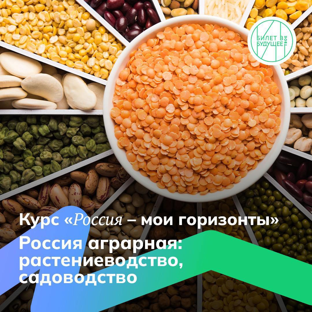 26 сентября Сегодня в рамках Всероссийского проекта «Билет в Будущее» «Россия – мои горизонты» прошло профориентационное занятие «Россия аграрная: растениеводство, садоводство» для школьников 6 -11 классов..